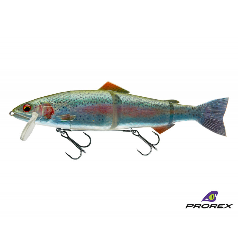 Daiwa Prorex Hybrid Trout Live Rainbow Trout Hybridn N Straha Daiwa Sk